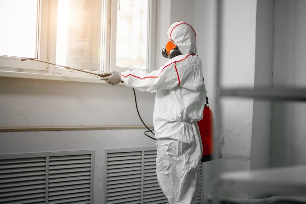 Professional mold remediation services in Sidney, MI